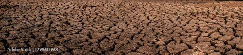 Valokuva Cracked and dry soil in arid areas landscape
