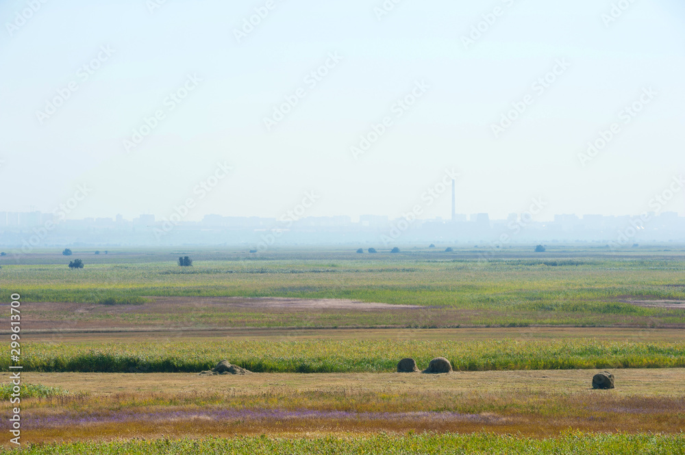 Flat rural landscape with silhuette of city behind and blue sky