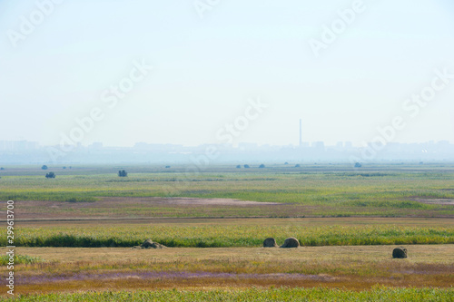 Flat rural landscape with silhuette of city behind and blue sky