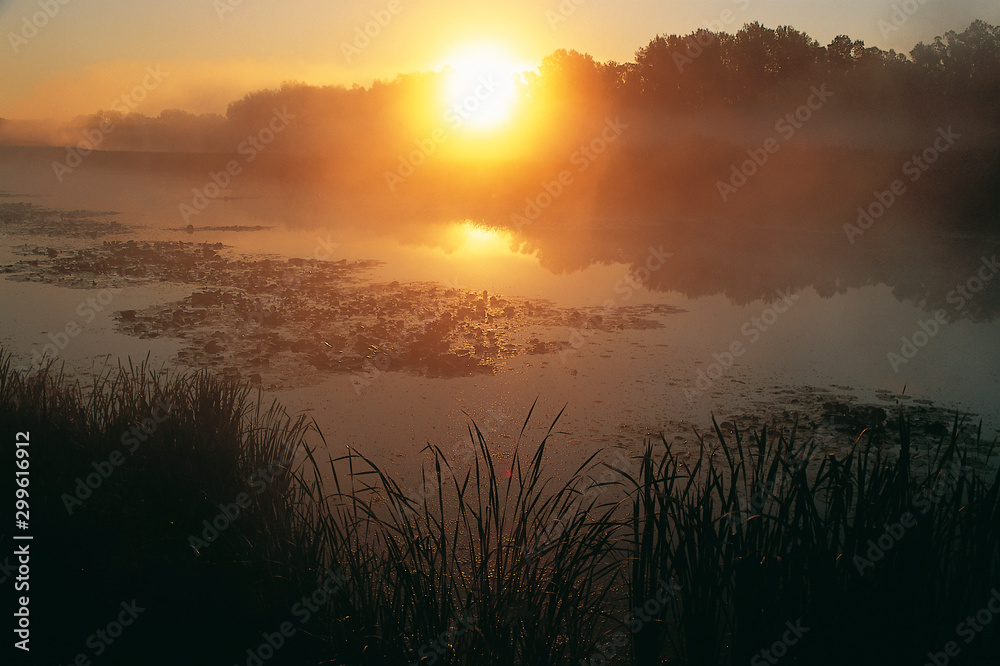 Sunrise on the oxbow lake on the Drava River
