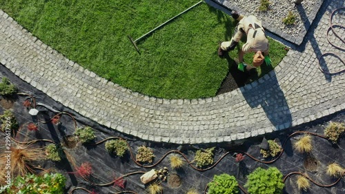 Natural Grass Installation by Professional Caucasian Gardener in His 30s. Gardening Industry.