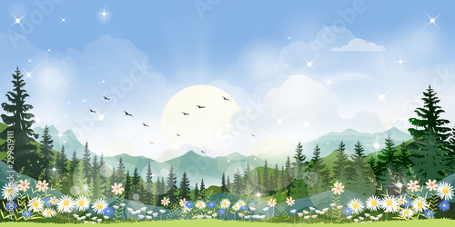 Panorama view of morning light shining in forest foliage,Beautiful mystical forest pine tree with fog in spring landscape, Scenery nature landscape of misty mountains