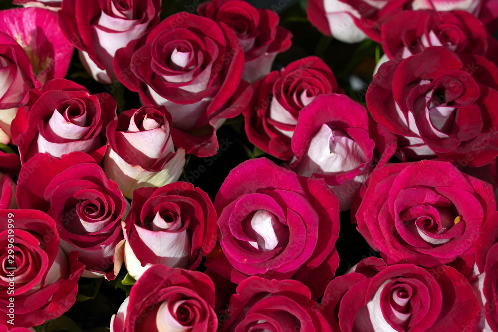 bouquet of red roses as background bouquet of red roses as background