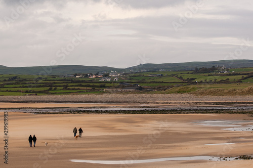 Lahinch Beach in county Clare. West coast of Ireland. Scenic Irish coastline view. Two unidentifiable couples walking their dogs in the sand. Beautiful Irish coastline. Overcast day.