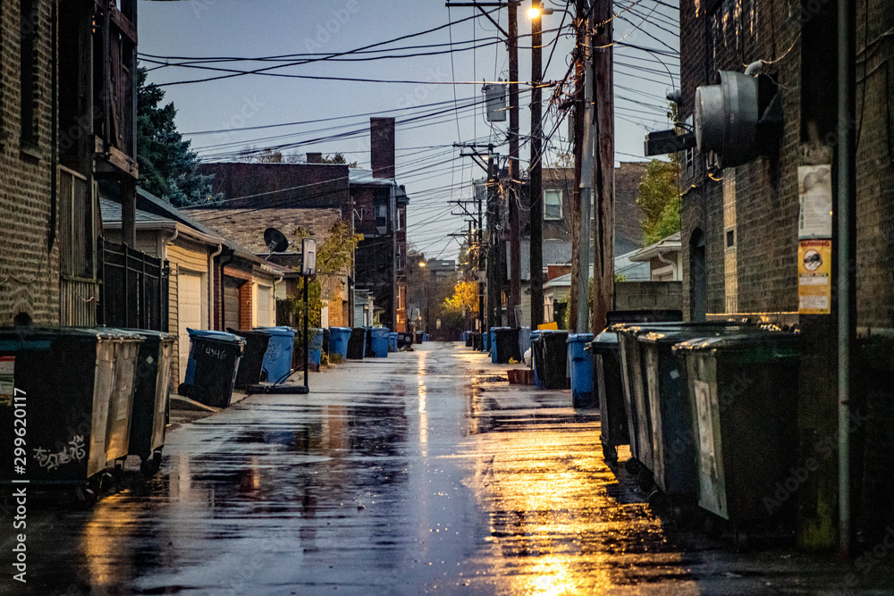 Chicago Alley in the Rain