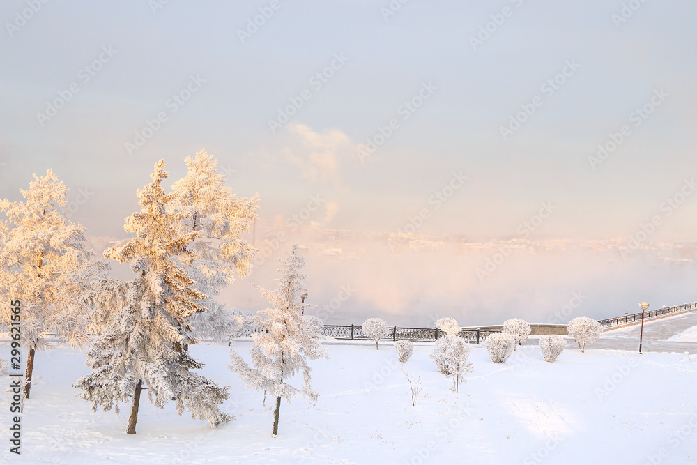 Winter landscape of frosty trees, white snow in city park. Trees covered with snow in Siberia, Irkutsk near lake Baikal. Extremely cold winter