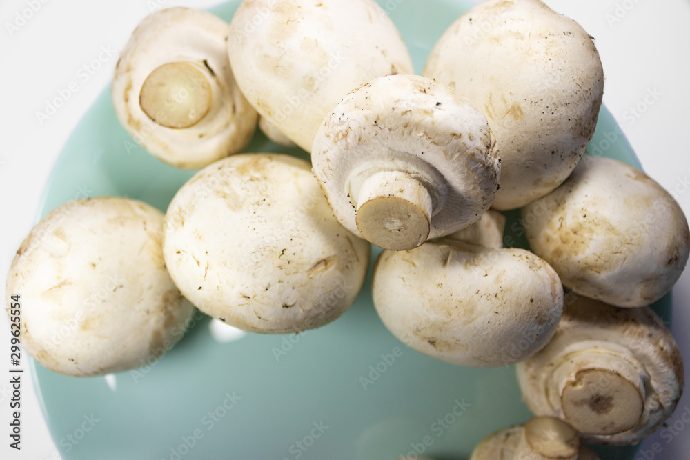 Set of fresh raw mushrooms (champignons) isolated on plate on white background