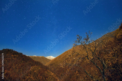 Night view of the autumn forest on the mountains with starry sky background
