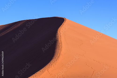 Dune 45 at sunset in the Namib Desert, Namibia