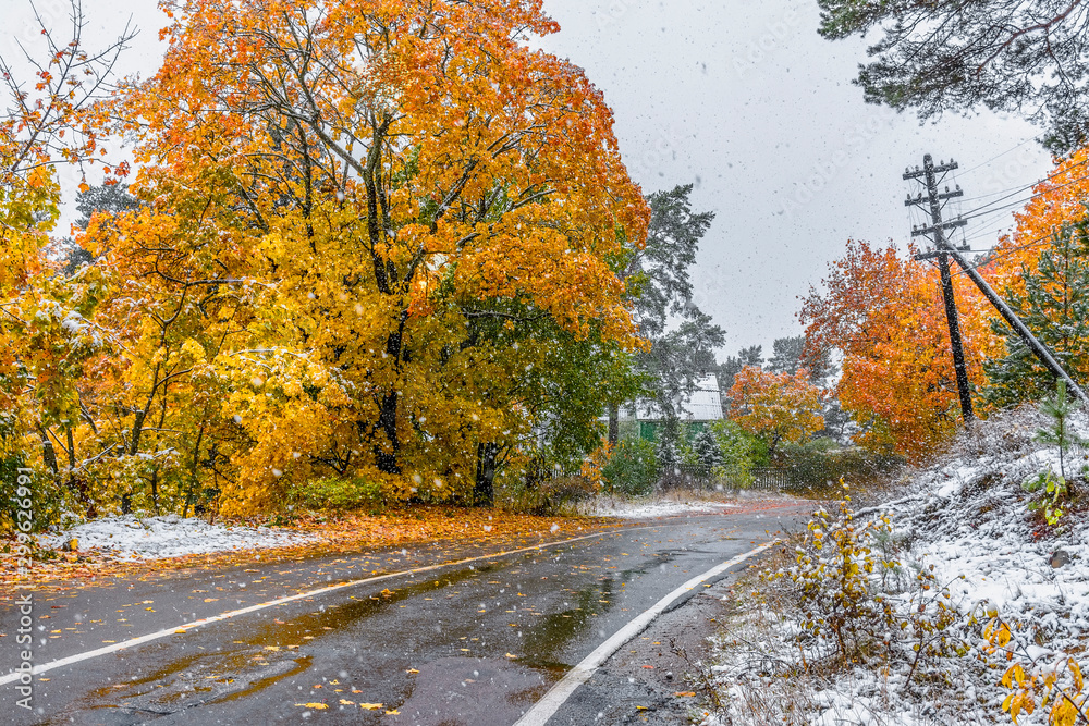 Obraz premium The first snow in Karelia in 2019.