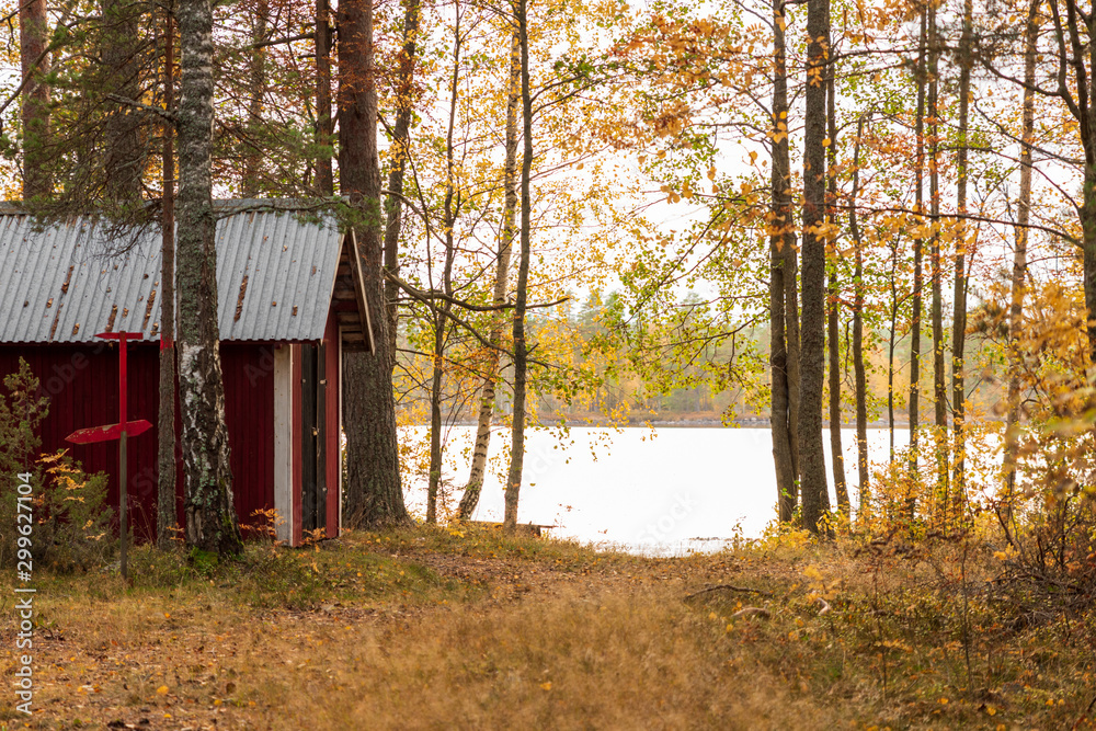 Old abandoned boathouse inside a forest by a lake during autumn and sunset in a forest in Sweden. Old abandoned boathouse inside a forest by a lake during autumn and sunset in a forest in Sweden.
