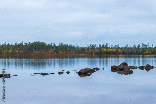 Stones in a lake inside a forest during autumn with the changing colours. Taken during a calm day in a Swedish forest. 