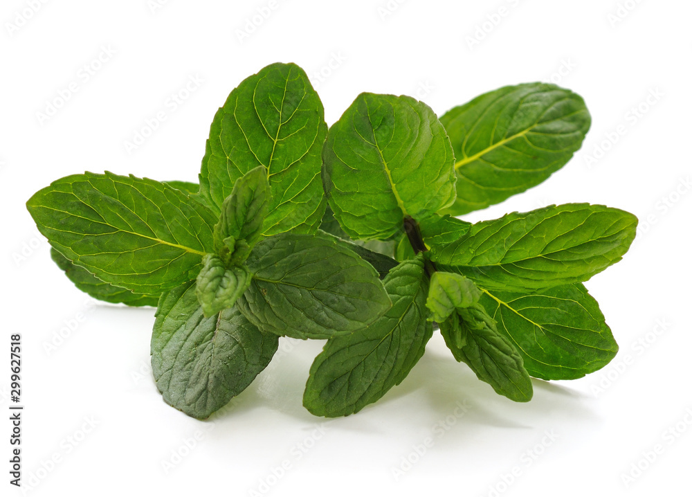 Leaves of green mint. Leaves of green mint.