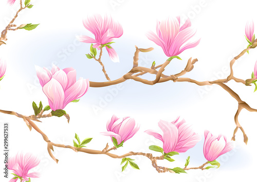 Magnolia tree branch with flowers. Seamless pattern, background. Colored vector illustration. Isolated on white background.. © Elen  Lane