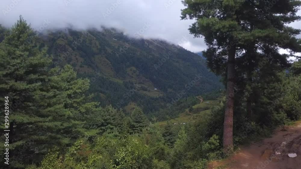 Woman walks through forest,fly camera moves away, revealing views of the valley hills in Nepal range Woman walks through forest,fly camera moves away, revealing views of the valley hills in Nepal range