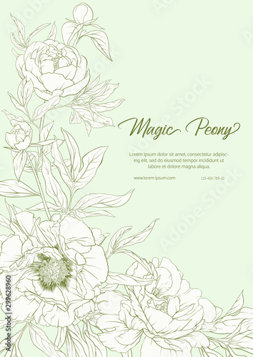 Wallpaper Mural White Peony. Template for wedding invitation, greeting card, banner, gift voucher, label. Outline hand drawing vector illustration. On tea green background.. Torontodigital.ca
