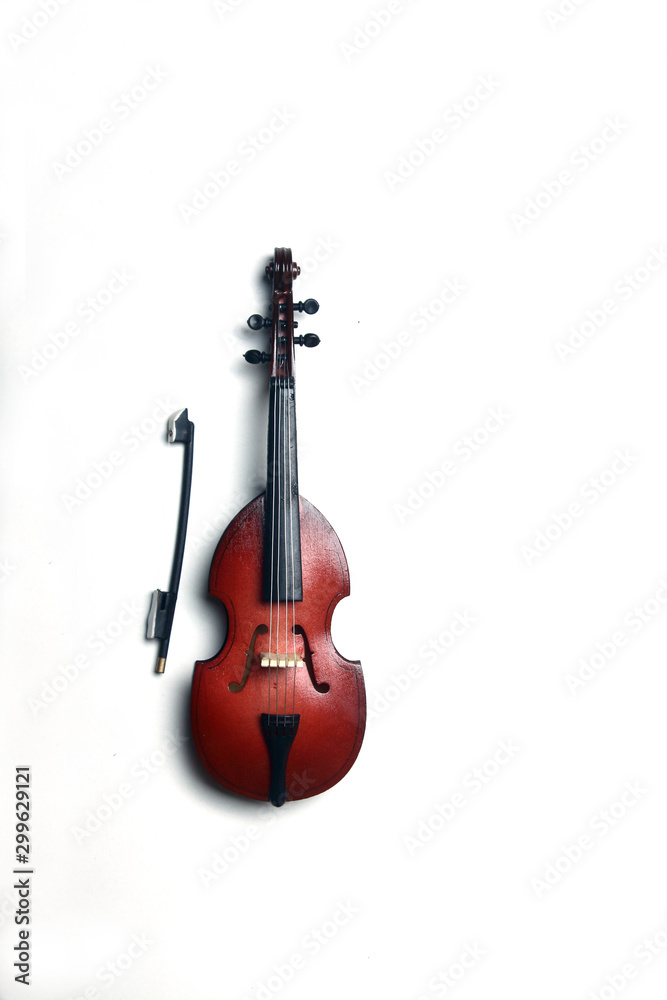 bass-viol isolated on white background