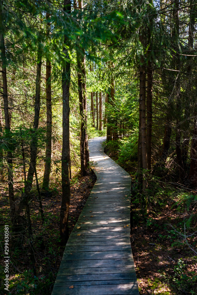 Der Bohlenweg im Murnauer Moos Der Bohlenweg im Murnauer Moos