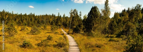 Der Bohlenweg im Murnauer Moos