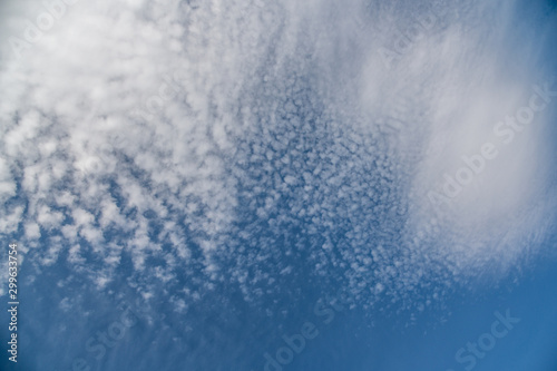 weiße Cirrocumulus stratiformis Wolken vor schönem blauen Himmel © Sonja