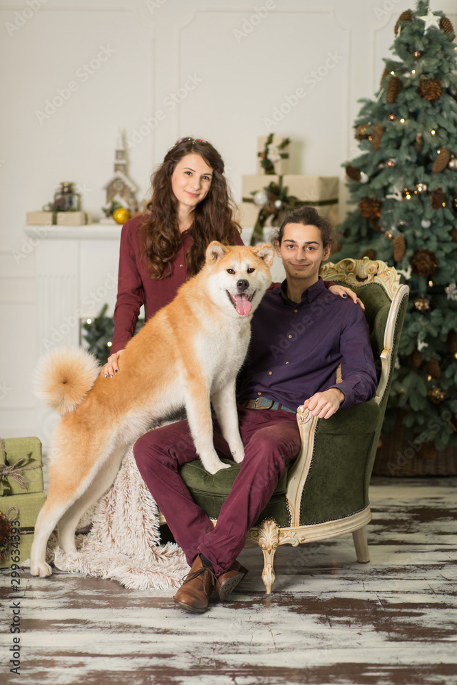 Young happy couple cuddling adorable akita inu dog while sit on stylish retro armchair for Christmas holidays at home. Christmas tree and fireplace background. Cozy home decorations