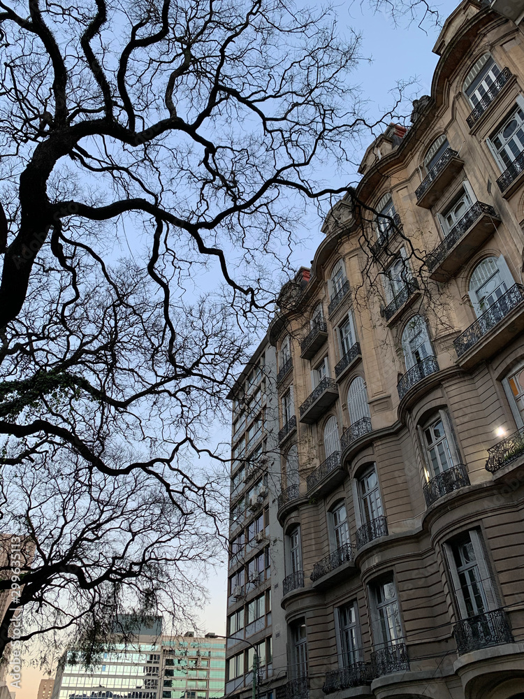 Fototapeta premium Buenos Aires