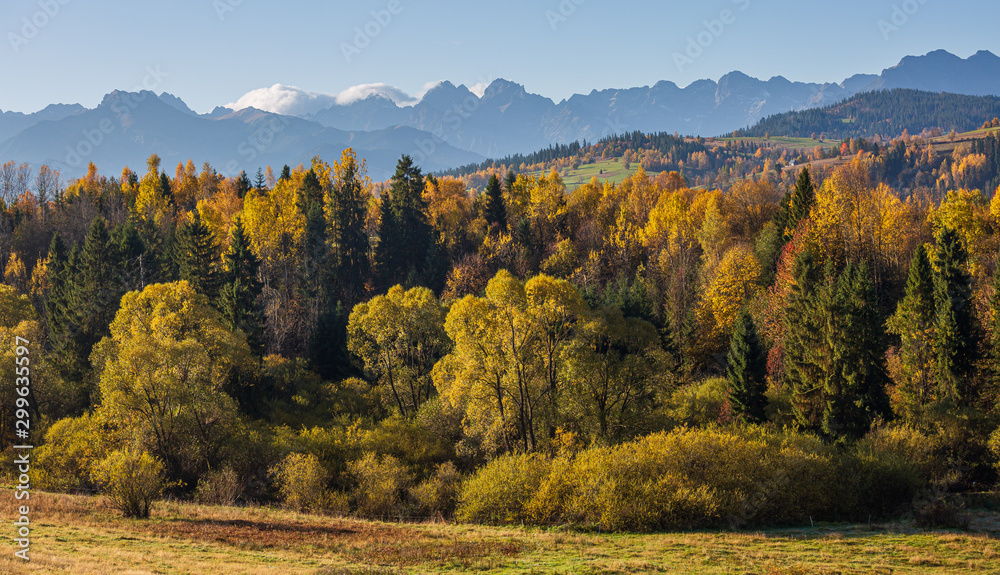 Beautiful,scenic,autumn landscape with view of the Tatra mountains,Poland.