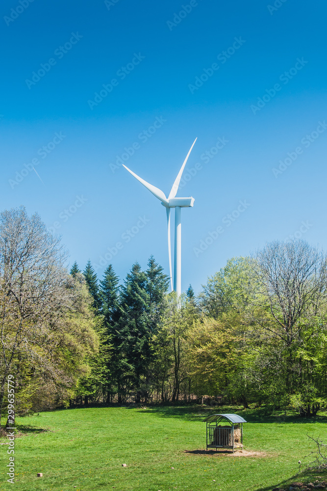 Fototapeta premium wind turbine a renewable energy source