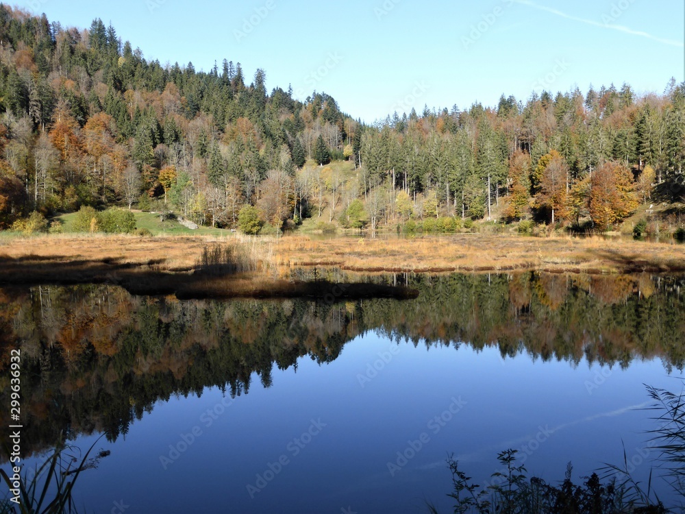Nonnenmattweiher Wasserspiegelung Nonnenmattweiher Wasserspiegelung