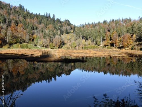 Nonnenmattweiher Wasserspiegelung photo