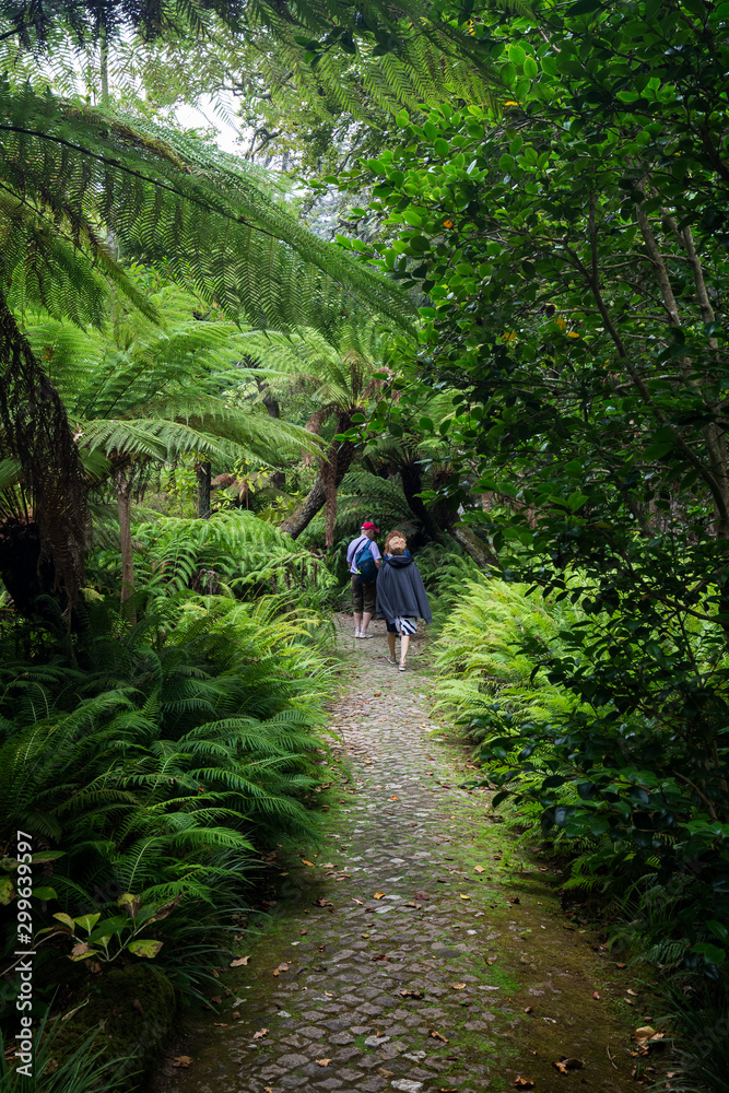 Fototapeta premium Few tourists on a footpath in a lush and verdant forest at the Pena Park surrounding the Pena Palace (Palacio Nacional da Pena) in Sintra, Portugal.
