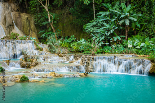 Fototapeta Naklejka Na Ścianę i Meble -  Turquoise water of Kuang Si waterfall, Luang Prabang, Laos. Tropical rainforest. The beauty of nature.