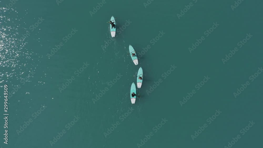 Aerial top down view group four people on paddle boards paddling in blue lake