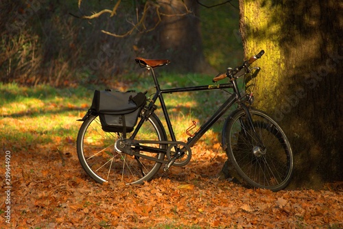 bicycle with bags stands near a tree