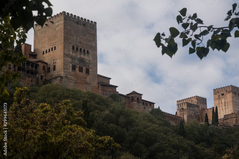 Alhambra hill with the towers and vegetation