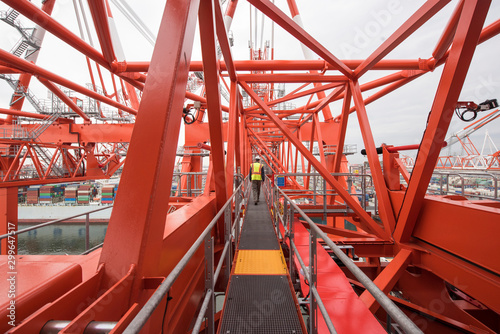 Shipping Cranes in A US Port