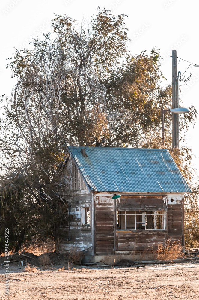 Run down shack of a former scale house under a winter tree