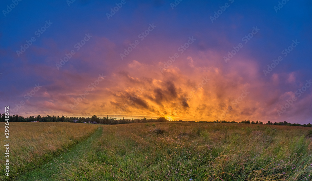 Obraz premium sunset over field