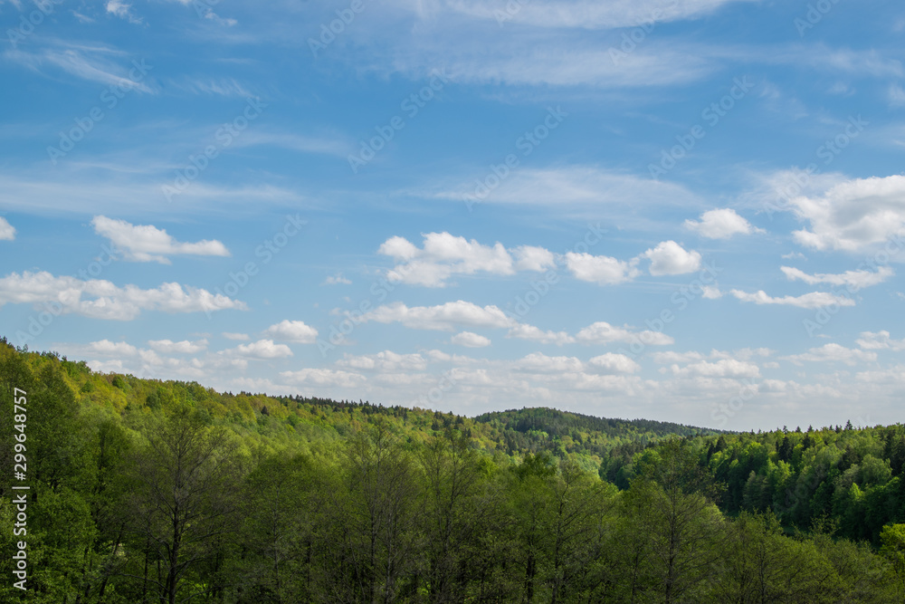 landscape with trees and blue sky