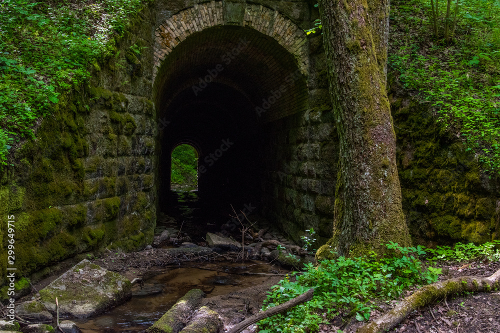 tunnel in the forest