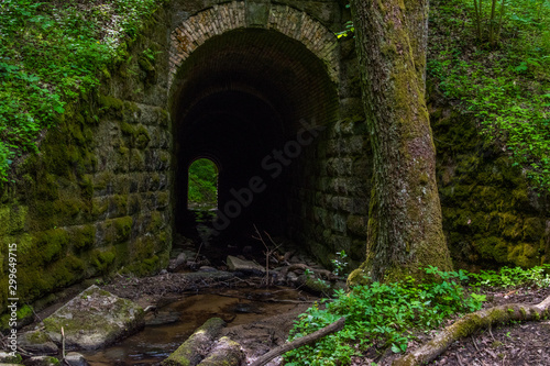 Fototapeta Naklejka Na Ścianę i Meble -  tunnel in the forest