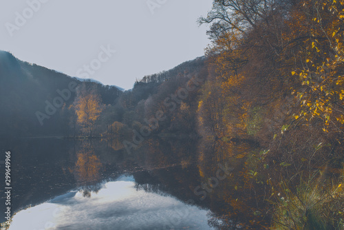 Autumn Colours at a lake