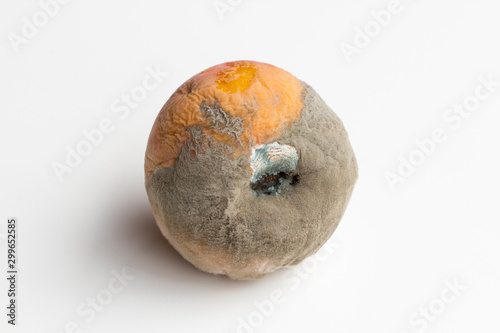Moldy peach isolated on white background.