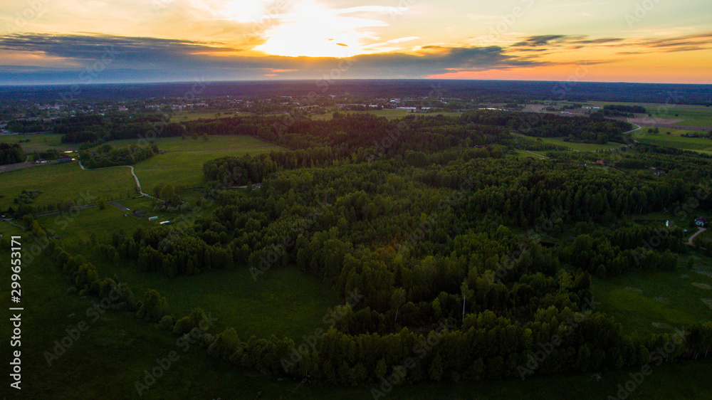Fototapeta premium sunset and forest 