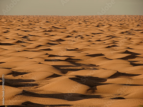 Mar de Arena  entrada del desierto desde la torre de un oasis en Tunez.