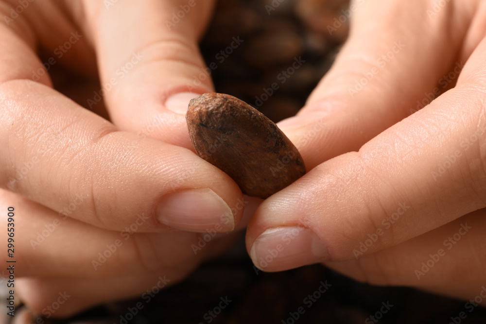 Woman holding cocoa bean, closeup of hands