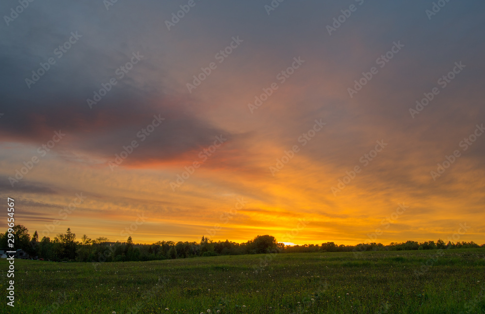 sunset over green field