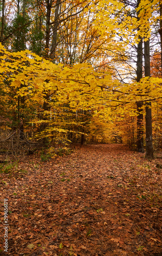 Fall colors in Canada
