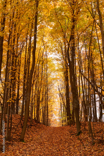 Fall colors in Canada