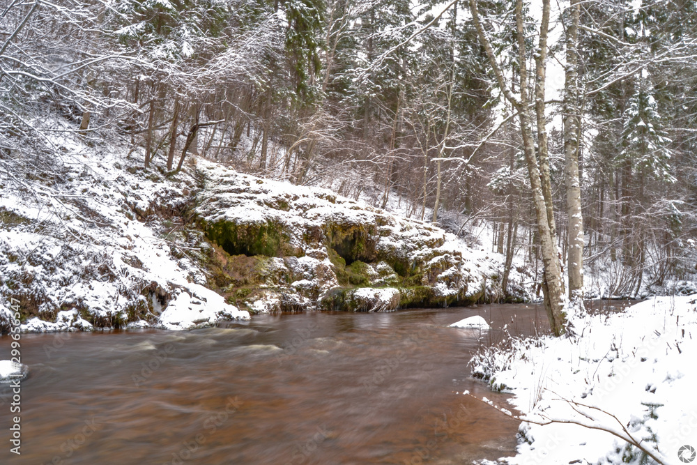 Obraz premium river in forest